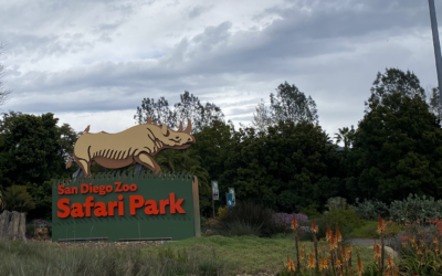 Explore the Wild Possibilities as a Safari Park Employee